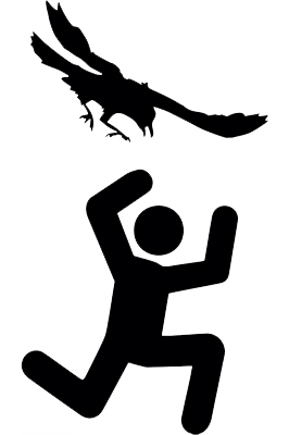Human-Crow Conflict – Loma Pendergraft